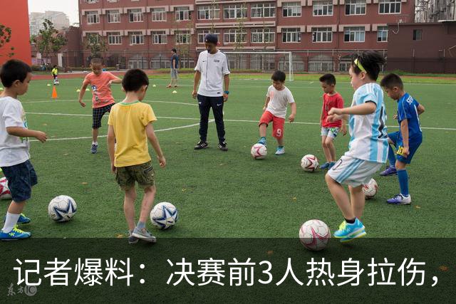记者爆料：决赛前3人热身拉伤，斯卡洛尼提保守踢法遭大马丁反对